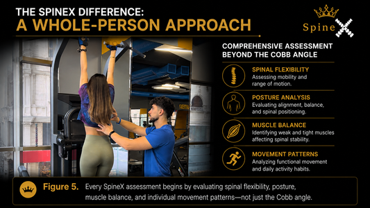 Why Full-Body Training Is Essential for Posture Correction